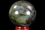 Bargain, Flashy Labradorite Sphere - Great Color Play #71809-1